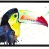 Keel-Billed Toucan