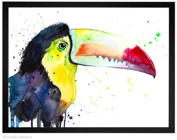Keel-Billed Toucan