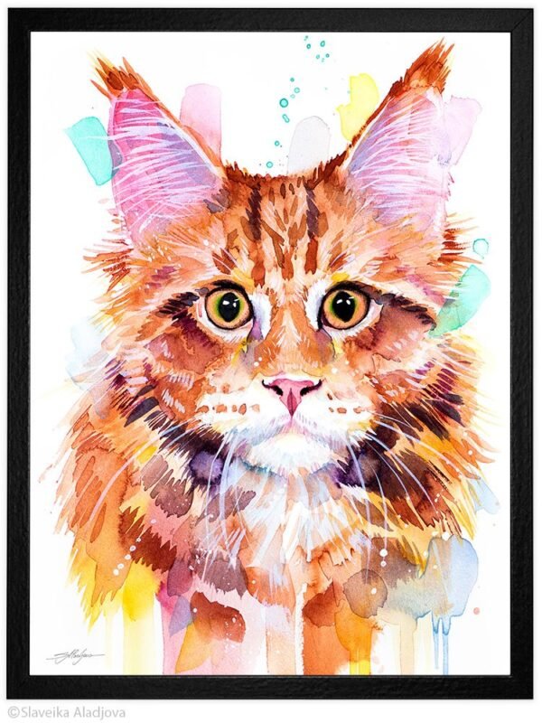 Maine Coon Cat Red Tabby
