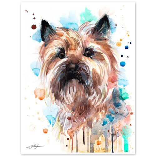 Cairn Terrier color