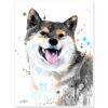 Black And Tan Shiba Inu