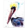 Brown pelican
