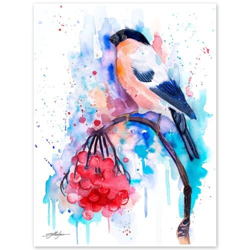 Bullfinch