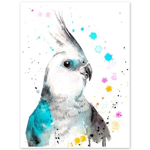 Cockatiel parrot