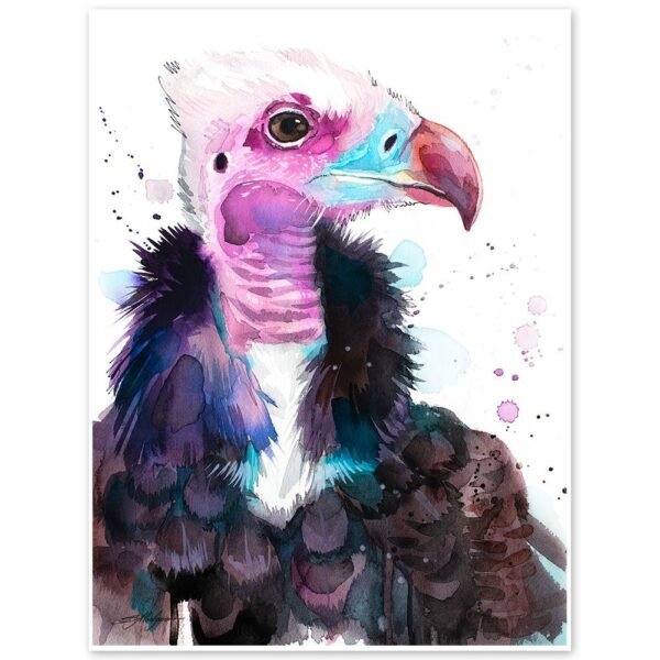 White-headed vulture