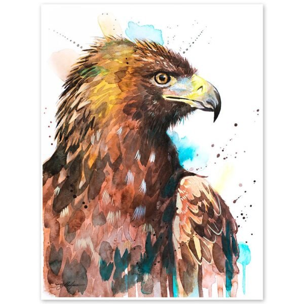 Bald Eagle Bald Eagle