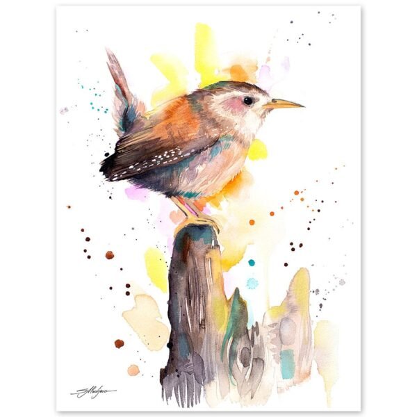 Wren