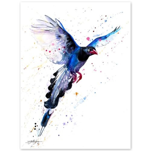 Taiwan Blue Magpie