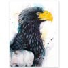 Steller's sea eagle