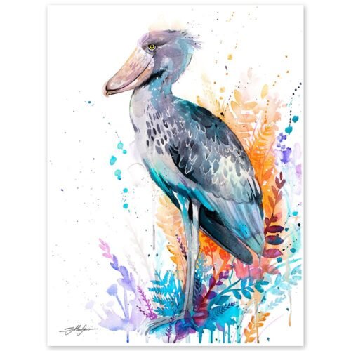 Shoebill