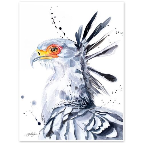Secretary bird
