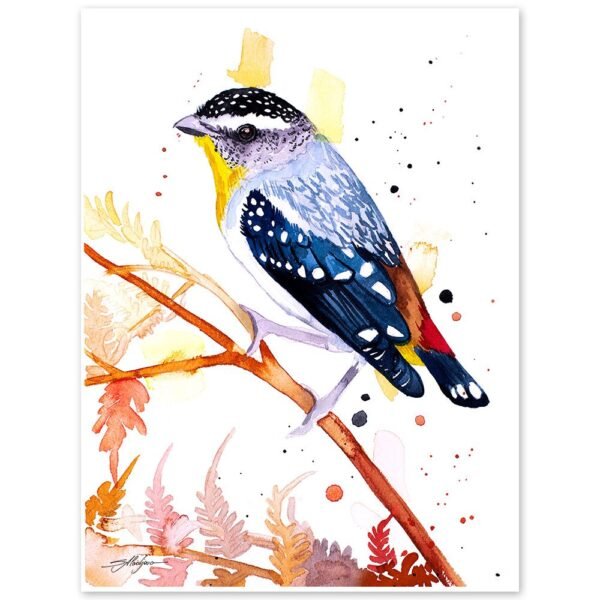Spotted Pardalote Spotted Pardalote