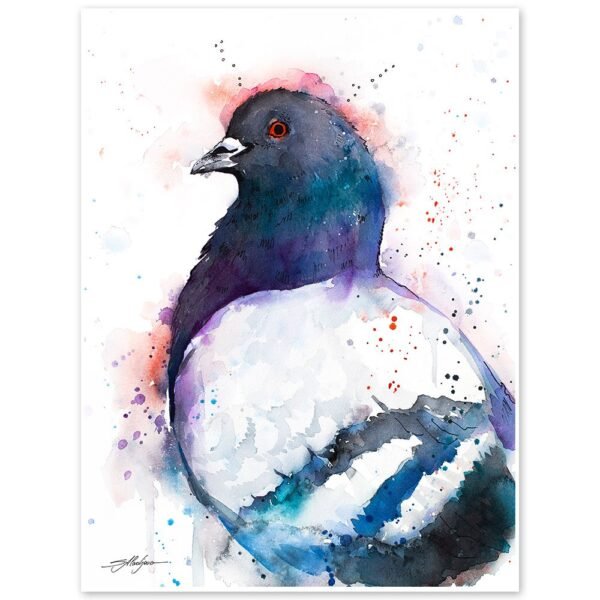Pigeon