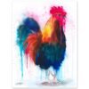Rooster Colorful