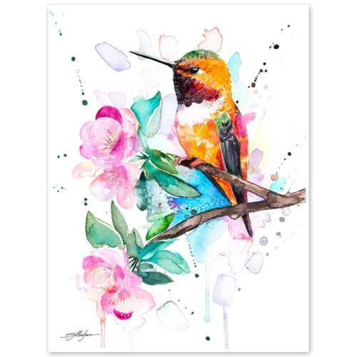 Rufous hummingbird