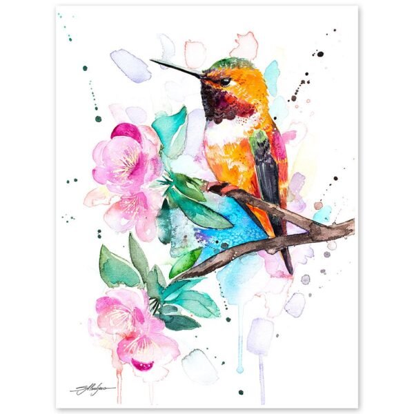 Rufous hummingbird Rufous hummingbird