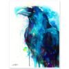 Raven Raven