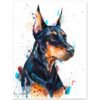 Doberman
