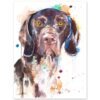 German Shorthaired Pointer German Shorthaired Pointer