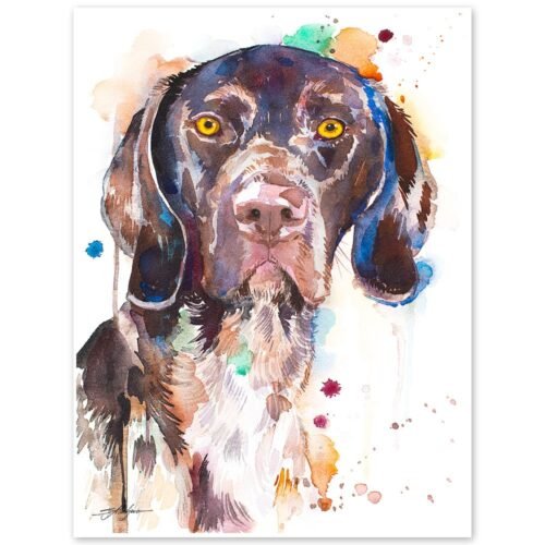 German Shorthaired Pointer