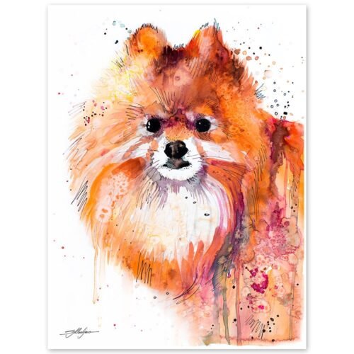 Pomeranian