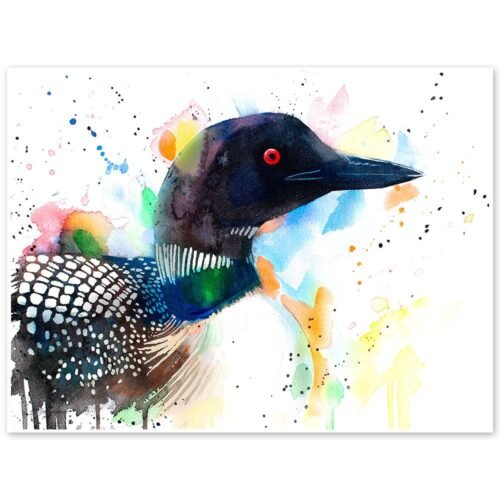 Great northern diver