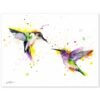 Hummingbirds Hummingbirds