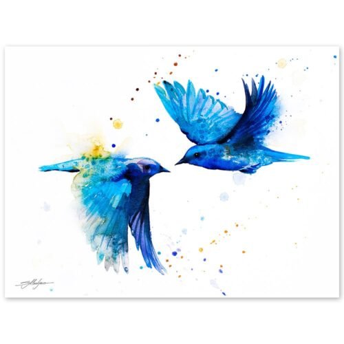 Mountain bluebird