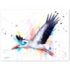 Stork Stork