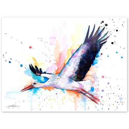 Stork