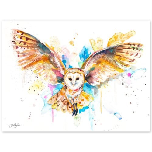 Barn owl in flight