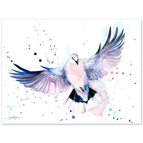 Dove