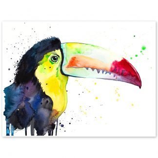 Keel-Billed Toucan