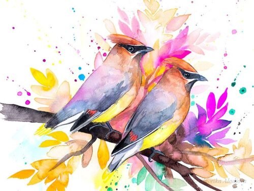 Cedar Waxwings