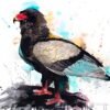 Bateleur Eagle Bateleur Eagle