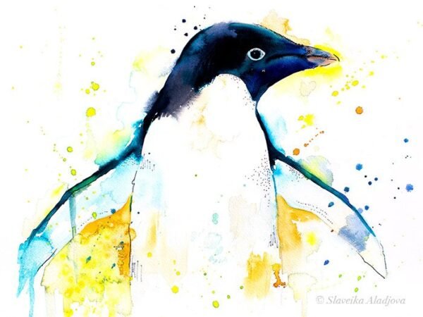 Adelie penguin