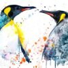 King Penguins Love