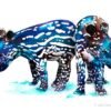 Baby tapir