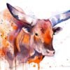 Ankole-Watusi
