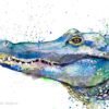 Crocodile