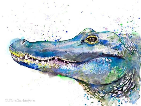 Crocodile