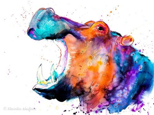Hippo