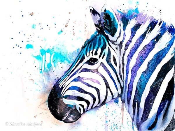 Zebra Zebra