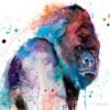 Western gorilla