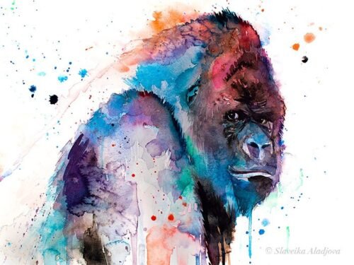 Western gorilla