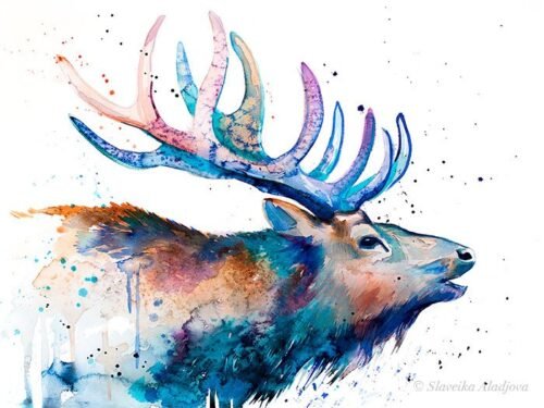 Red deer