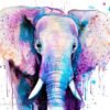 Purple Elephant