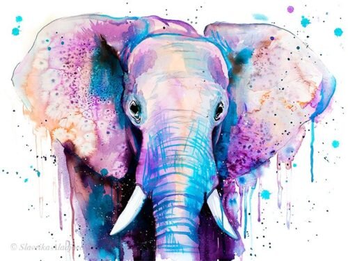Purple Elephant
