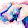 Pink Elephant Head
