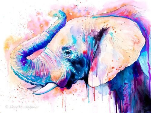Pink Elephant Head